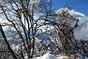 21 Ultima neve sugli alberi